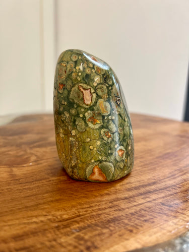 Rainforest Jasper Freeform - Earth Healing + Protection