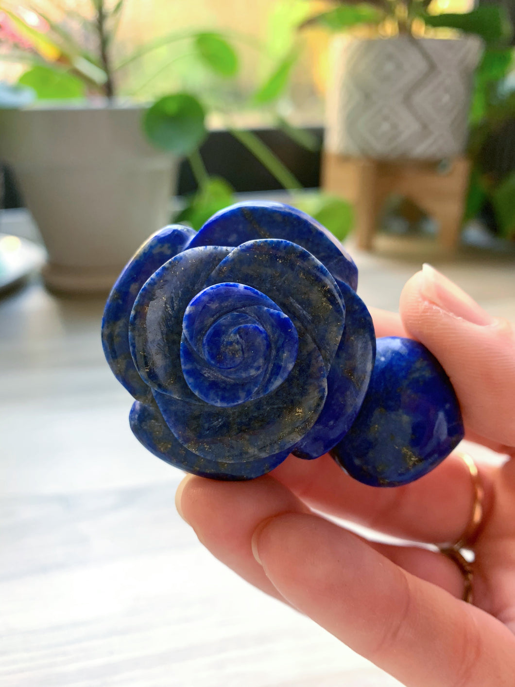 Lapis Lazuli Rose - Enlightenment + Truth