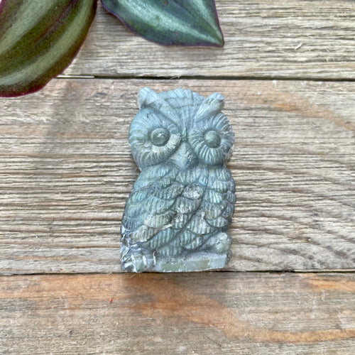 Labradorite Owl - Protection + Intuition