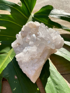 Clear Quartz Cluster - Master Healer