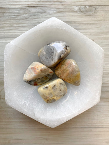 Crazy Lace Agate Tumbled Stone