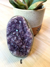 Load image into Gallery viewer, Standing Amethyst Cluster