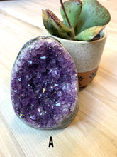 Load image into Gallery viewer, Standing Amethyst Cluster