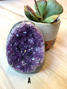Standing Amethyst Cluster