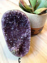 Load image into Gallery viewer, Standing Amethyst Cluster