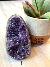 Load image into Gallery viewer, Standing Amethyst Cluster