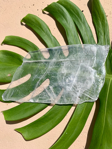 Large Selenite Cleansing + Charging Plate