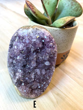 Load image into Gallery viewer, Standing Amethyst Cluster