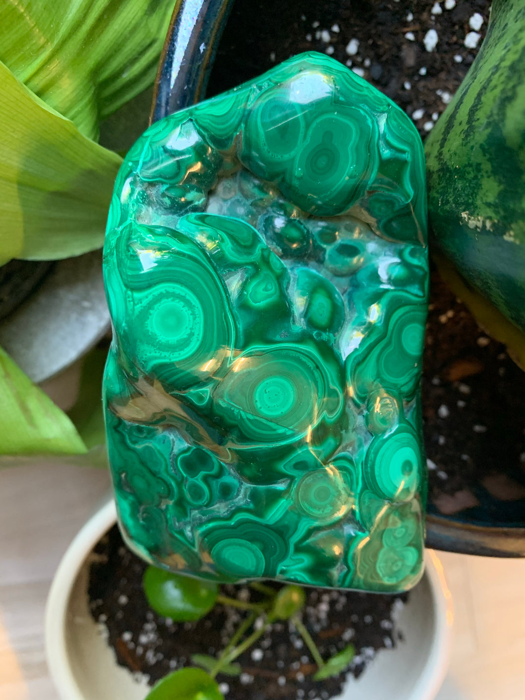 Large Polished Malachite - Confidence + Protection