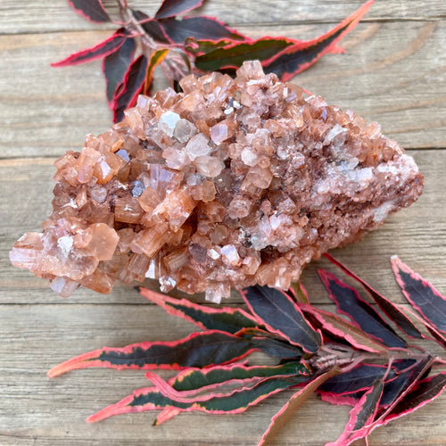 Aragonite Star Cluster