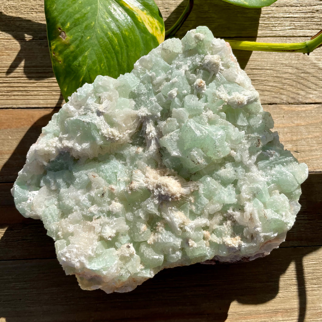 Green Apophyllite Cluster - Peace + Clarity